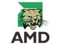 AMD Bobcat Netbook Prozessor CPU
