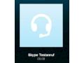 Gute Sprachqualitt mit Skype am iPad