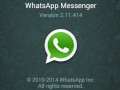 Bald knnte der Hrer auf dem WhatsApp-Logo Sinn ergeben: Der Messaging-Dienst erhlt schon bald eine Telefonfunktion.