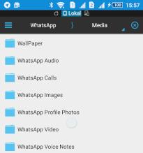 WhatsApp-Verzeichnis auf dem Sony Xperia Z3 Dual