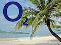 o2 Logo und Palme