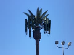 Mobilfunk in Las Vegas - Basisstation als Palme getarnt