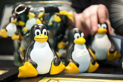 Linux-Maskottchen: Der Pinguin Tux