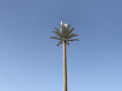 Mobilfunk-Basisstation auf Palm Jumeirah im Palmen-Design