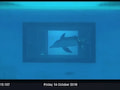 Delfin Foster spielt am Touchscreen