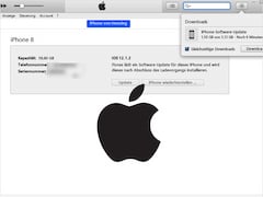 Apple lieferte ein Update frs Update auf erneut iOS 12.1.2 aus.