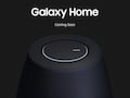 Galaxy Home sucht ab April ein Zuhause