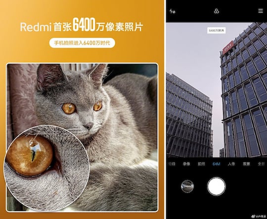 Scharfe Katze: Foto-Sample des 64-Megapixel-Smartphones von Xiaomi