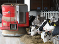 Ein Futterautomat fhrt durch den Kuhstall von Landwirt Ochse.