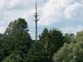 Die staatliche Mobilinfrastrukturgesellschaft will selbst Antennenmasten bauen. Mssen diese Masten dann verpflichtend genutzt werden? (Das Bild zeigt einen Telekom Mast in Kyritz)