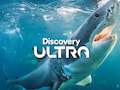 Discovery Ultra zeigt vom Start weg 75 Prozent des Programms in nativem UHD mit HDR-Qualitt
