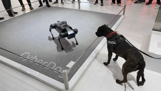 Xiaomi Cyberdog im "Konflikt" mit einem Polizeihund