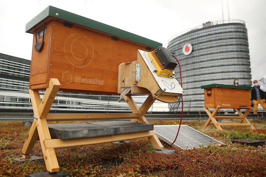 Auf dem Dach vom Vodafone in Dsseldorf wird das Verhalten von Bienenvlkern erforscht. Ob die Bienen die Geschftszahlen kennen?