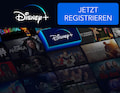 Disney kmpft gegen Account-Sharing