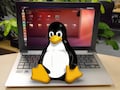 Das bieten Linux-Live-Systeme