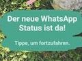 WhatsApp Status ist da
