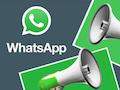 WhatsApp-Infodienste in der bersicht